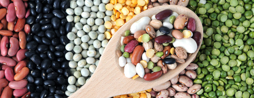 Os 5 melhores grãos leguminosos para o diabetes