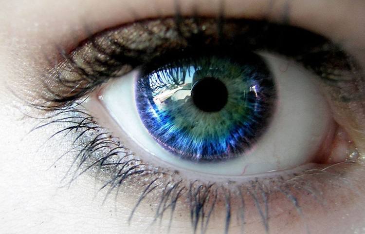 Dia Mundial da Visão: Entidade Alerta para a Prevenção da Cegueira e Destaca Cuidados com a Saúde dos Olhos