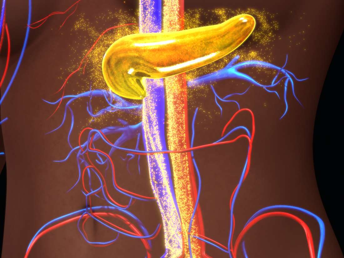 Diabetes: a terapia genética pode normalizar os níveis de glicose no sangue?