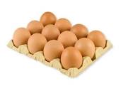 Um ovo por dia pode afastar o risco de derrame