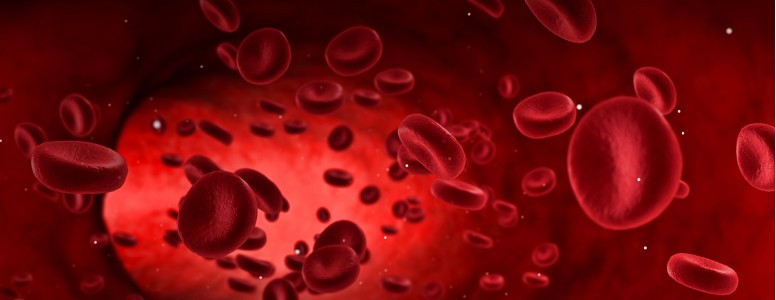 Pesquisa explora o impacto dos danos nos glóbulos vermelhos no diabetes tipo 2