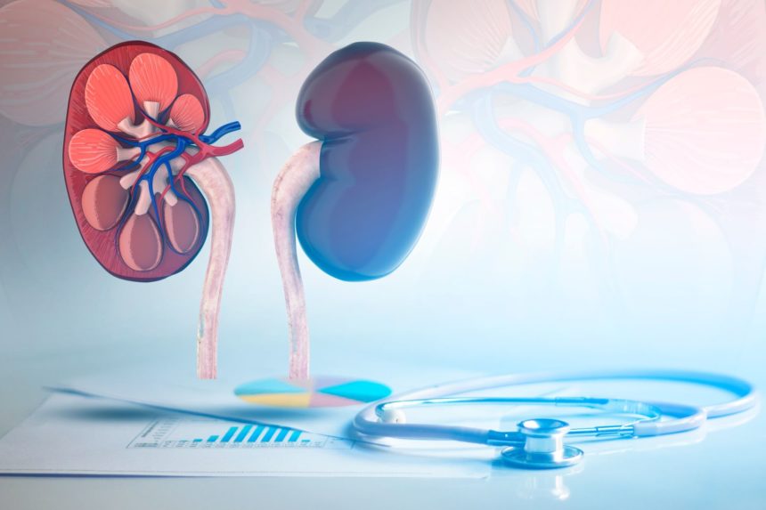 37. Doença Renal : A Linagliptina Não Aumenta Os Eventos Renais Adversos Em Pacientes Com DM2