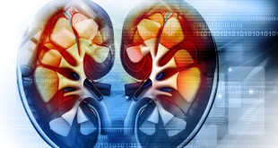 117.Esperança para Terapia: Novos Marcadores Protegem na Doença Renal Diabética