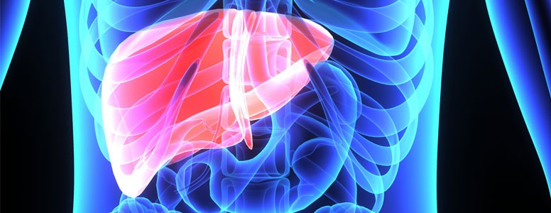 A Perda de Peso Atenua o Dano Cardiovascular do Fígado Gorduroso no Diabetes