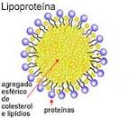 Altos Níveis de Lipoproteína (a) no Diabetes Tipo 1 Aumentam o Risco de DCV