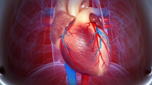 Fatores de Risco Diferem Entre as Primeiras Manifestações de Doenças Cardiovasculares no Diabetes Tipo 1