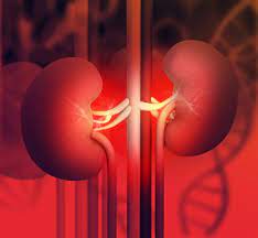 Temos Que Fazer Melhor Para as Pessoas Com Doença Renal, Dizem os Especialistas